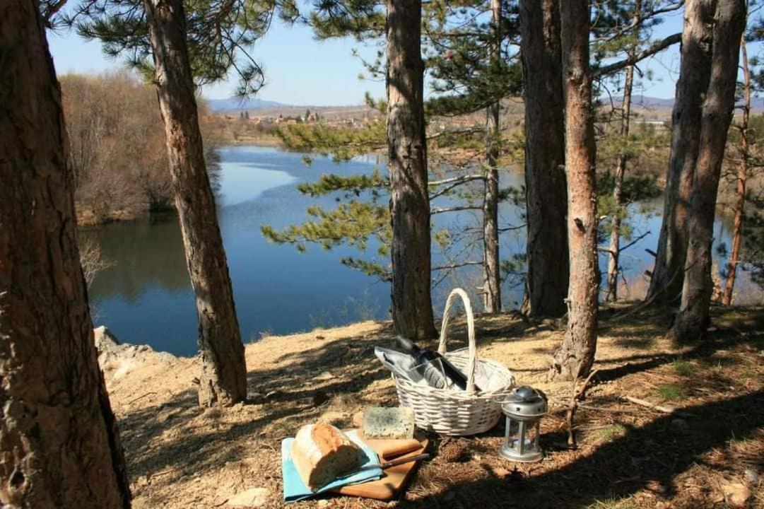 River Hills Guest House Lesichevo Εξωτερικό φωτογραφία